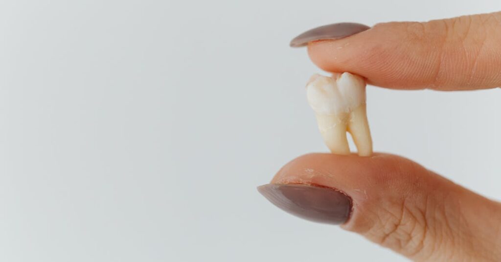 detailed close up of fingers holding a loose tooth against a white background